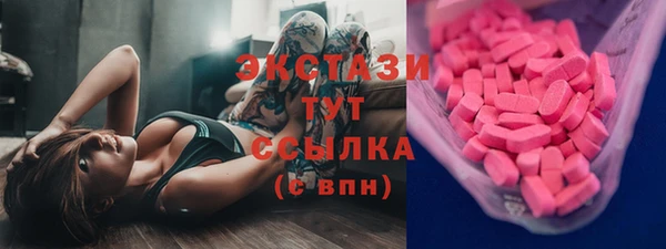 хмурый Аркадак