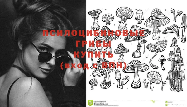 гашик Армянск