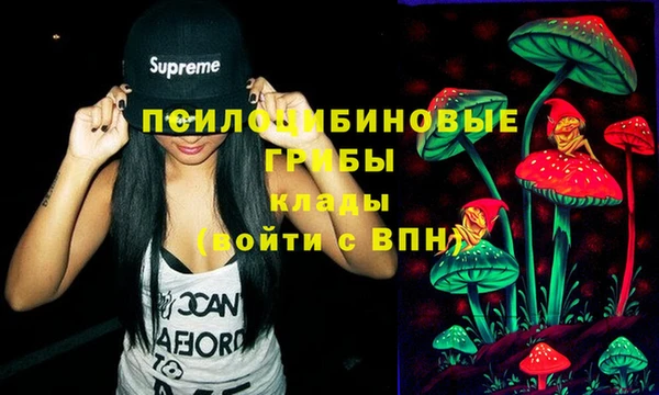 гашик Армянск