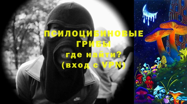 хмурый Аркадак