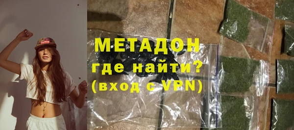 хмурый Аркадак