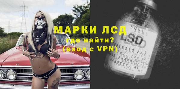 хмурый Аркадак