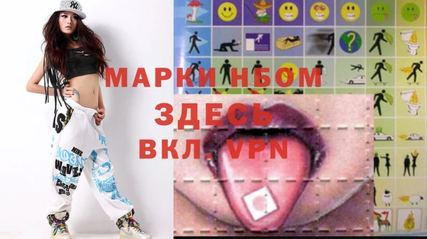 хмурый Аркадак