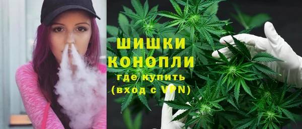 хмурый Аркадак