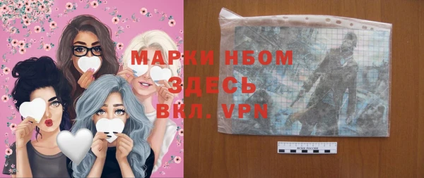 хмурый Аркадак