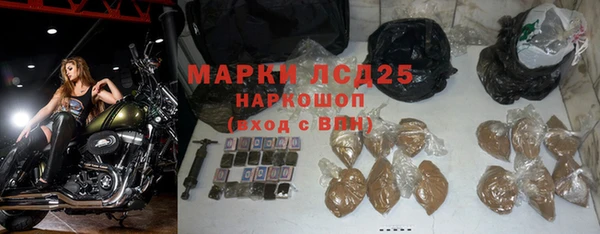ГАЛЛЮЦИНОГЕННЫЕ ГРИБЫ Остров