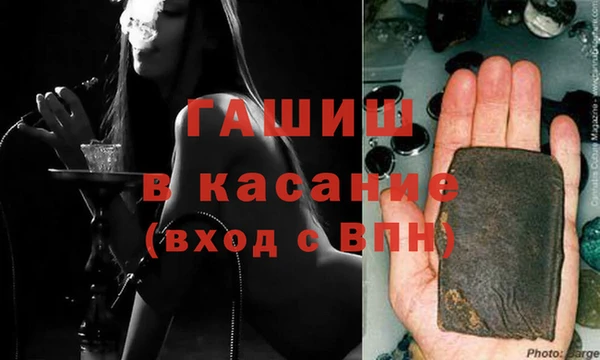 хмурый Аркадак